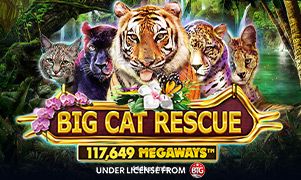 Imagem do jogo Big Cat Rescue Megaways no 444bet